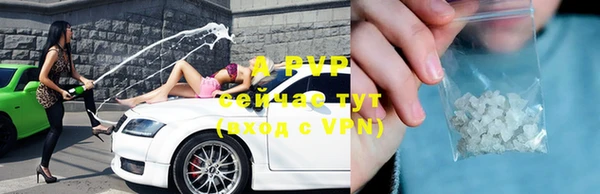 ПСИЛОЦИБИНОВЫЕ ГРИБЫ Коряжма
