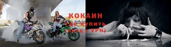 ПСИЛОЦИБИНОВЫЕ ГРИБЫ Коряжма