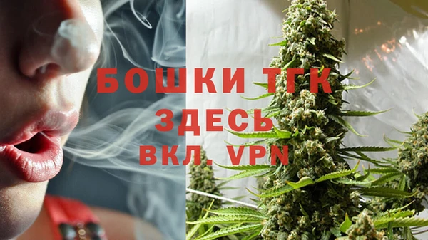 ПСИЛОЦИБИНОВЫЕ ГРИБЫ Коряжма