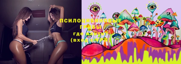 ПСИЛОЦИБИНОВЫЕ ГРИБЫ Коряжма