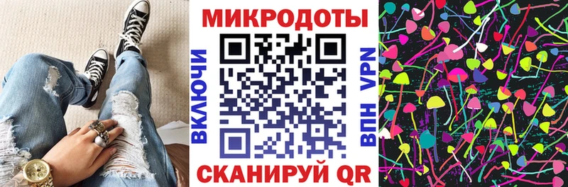 Купить  Клин  Галлюциногенные грибы Psilocybine cubensis 